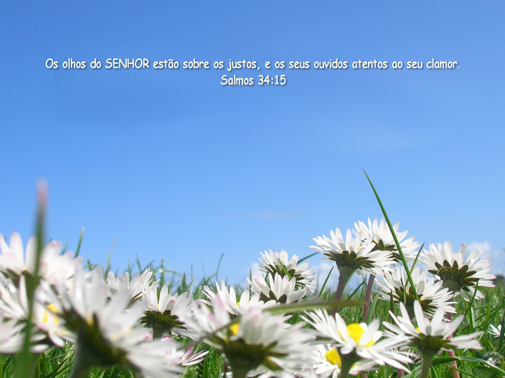 Papel de Parede Os olhos do Senhor estão sobre os justos